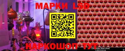 apvp Ачхой-Мартан