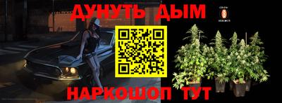 стафф Бердск