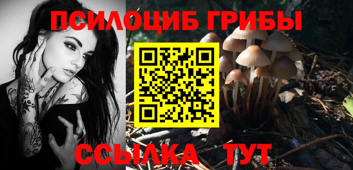 Галлюциногенные грибы ЛСД Баксан
